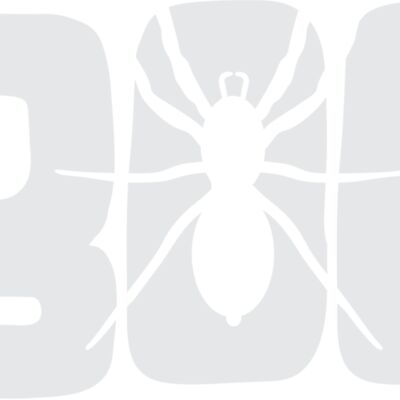 Boo Spider Thumbnail