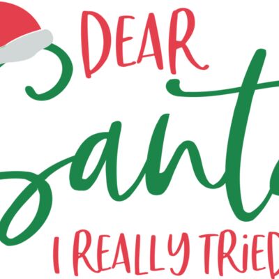 Dear Santa I Really Tried Thumbnail