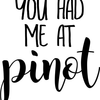 youhadmeatpinot joyfulcreationskelowna Thumbnail